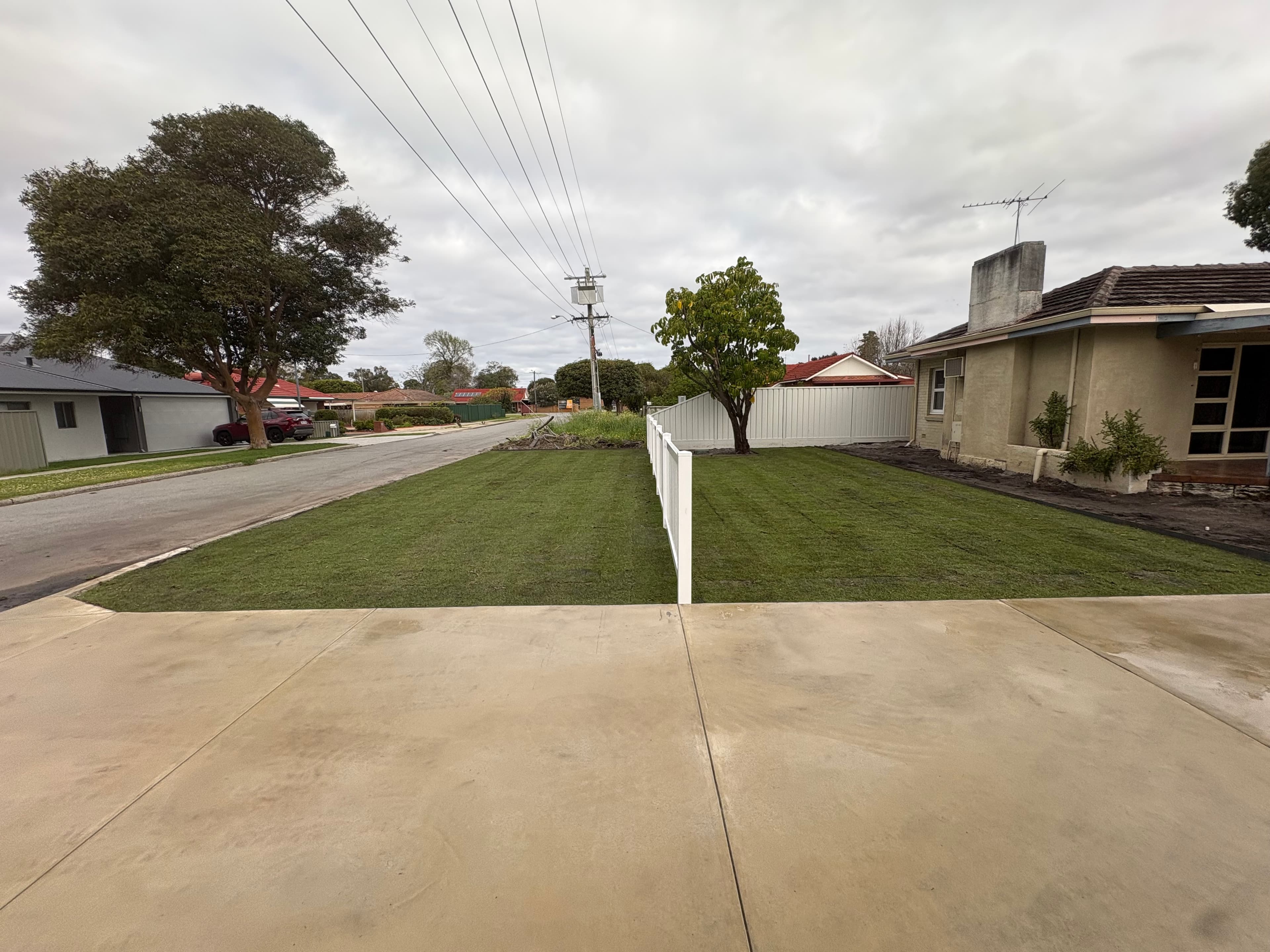 Roll-On Lawns