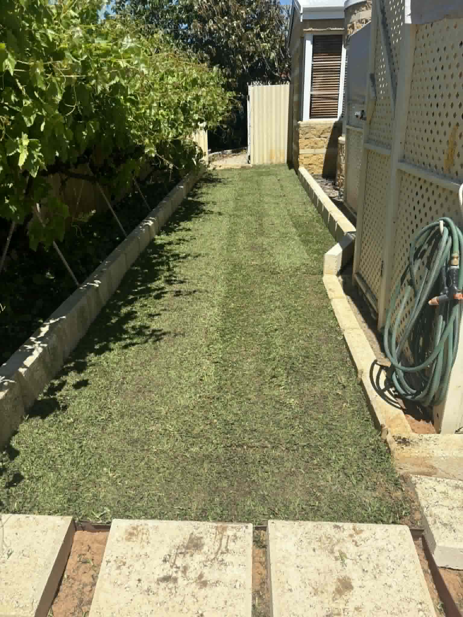 PC Scapes & Retic work photo 2
